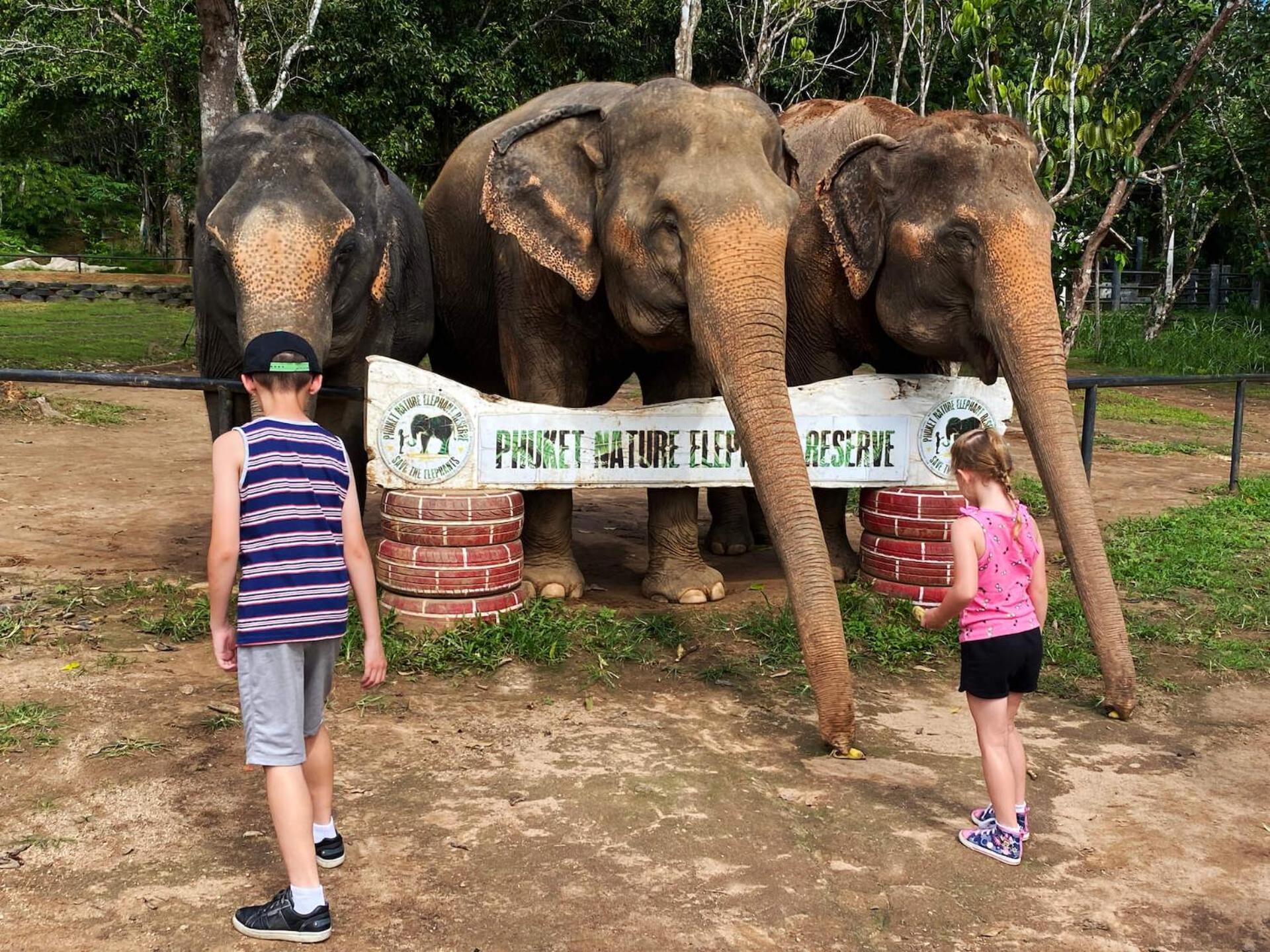Snooze Inn Phuket - Free Shuttle To Bang Rong Pier Pa Khlok Exterior foto